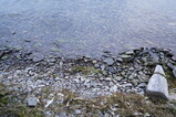 DSC00521.JPG.small.jpeg