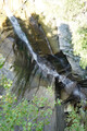 DSC00567_e.JPG.small.jpeg