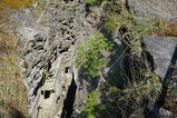 DSC00579.JPG.small.jpeg