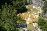 DSC00584.JPG.small.jpeg