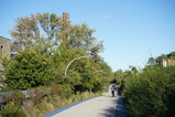 DSC00600.JPG.small.jpeg