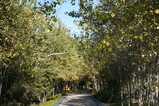 DSC00606.JPG.small.jpeg