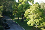 DSC00622.JPG.small.jpeg