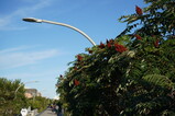 DSC00636.JPG.small.jpeg
