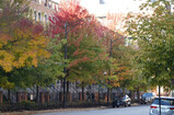 DSC00682_e.JPG.small.jpeg