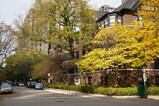 DSC00707.JPG.small.jpeg