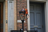 DSC00713.JPG.small.jpeg