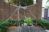 DSC00716.JPG.small.jpeg