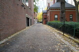 DSC00720.JPG.small.jpeg