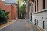 DSC00724.JPG.small.jpeg