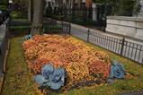 DSC00730.JPG.small.jpeg