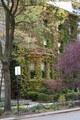 DSC00732.JPG.small.jpeg