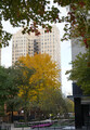 DSC00735_e.JPG.small.jpeg