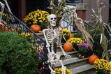 DSC00739.JPG.small.jpeg