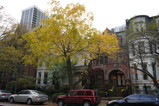 DSC00740.JPG.small.jpeg