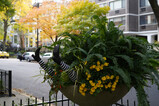 DSC00741_e.JPG.small.jpeg