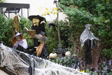 DSC00744.JPG.small.jpeg