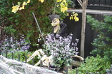 DSC00745.JPG.small.jpeg