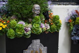 DSC00746.JPG.small.jpeg