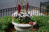 DSC00749.JPG.small.jpeg