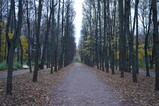DSC00838.JPG.small.jpeg