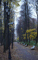 DSC00839_e.JPG.small.jpeg