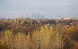 DSC00845_e.JPG.small.jpeg