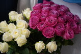DSC01017.JPG.small.jpeg