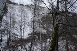 DSC01102.JPG.small.jpeg