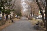 DSC01110.JPG.small.jpeg