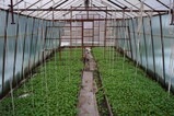 DSC01128.JPG.small.jpeg