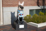 DSC01145.JPG.small.jpeg