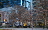 DSC01189_e.JPG.small.jpeg