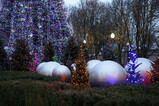 DSC01195.JPG.small.jpeg