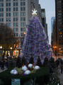 DSC01197_e.JPG.small.jpeg