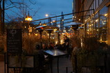 DSC01210.JPG.small.jpeg