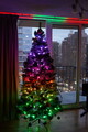 DSC01221.JPG.small.jpeg
