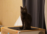 DSC01276_e.JPG.small.jpeg