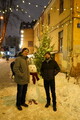 DSC01286.JPG.small.jpeg