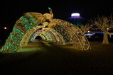 DSC01309.JPG.small.jpeg