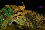 DSC01312.JPG.small.jpeg