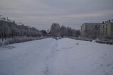 DSC01542.JPG.small.jpeg