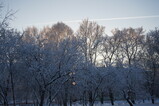 DSC01595.JPG.small.jpeg
