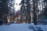 DSC01600.JPG.small.jpeg