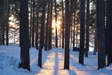 DSC01602.JPG.small.jpeg