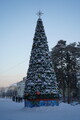 DSC01605.JPG.small.jpeg