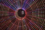 DSC01668.JPG.small.jpeg