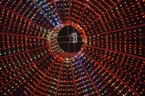 DSC01669.JPG.small.jpeg