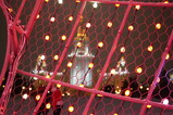 DSC01670.JPG.small.jpeg