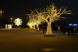 DSC01673.JPG.small.jpeg